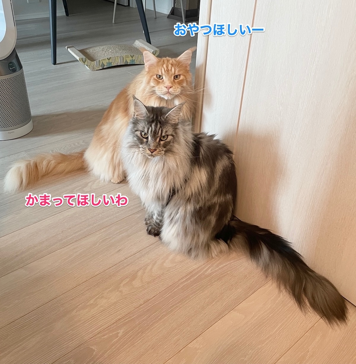 f:id:chikojirou:20210710220930j:plain