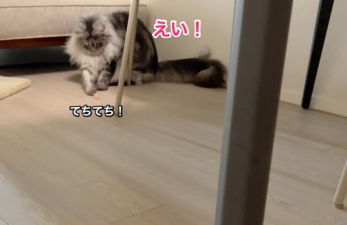 f:id:chikojirou:20210710220939j:plain