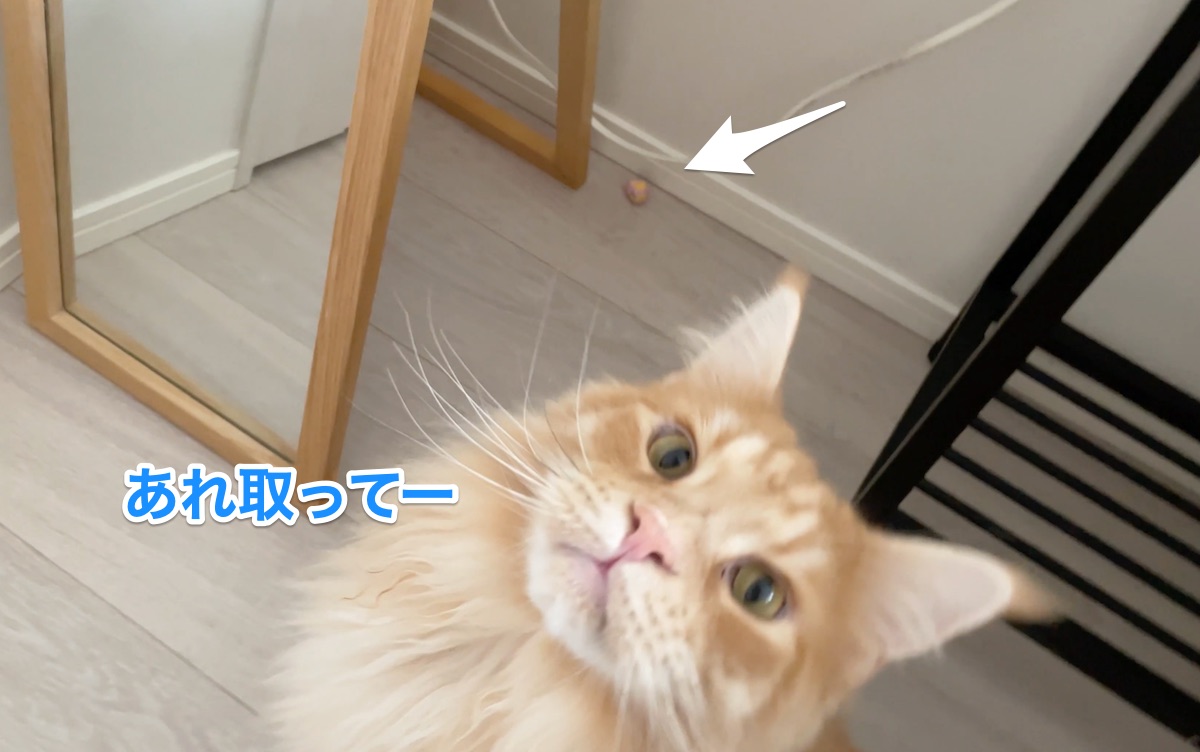 f:id:chikojirou:20210710220943j:plain