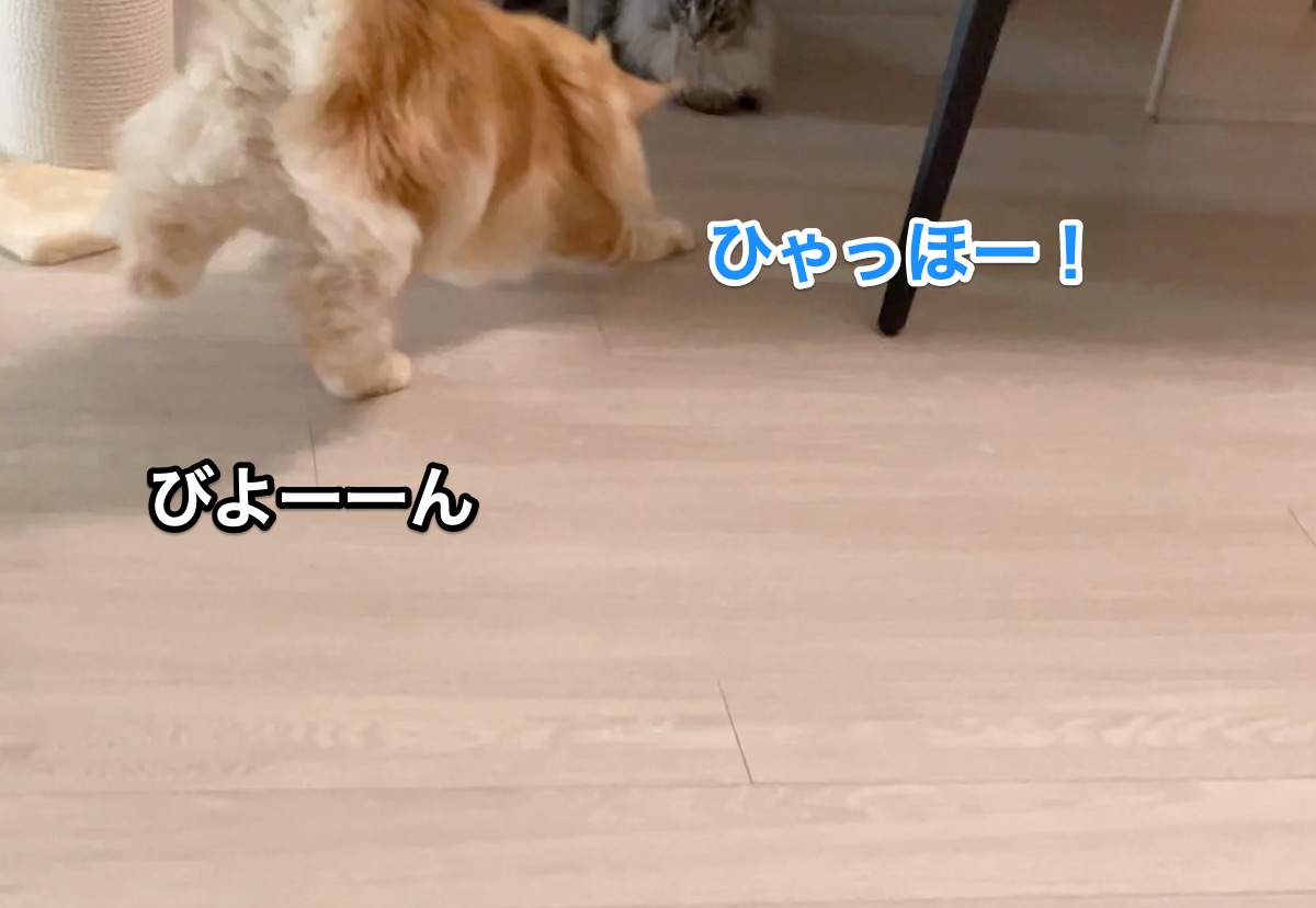 f:id:chikojirou:20210710220946j:plain