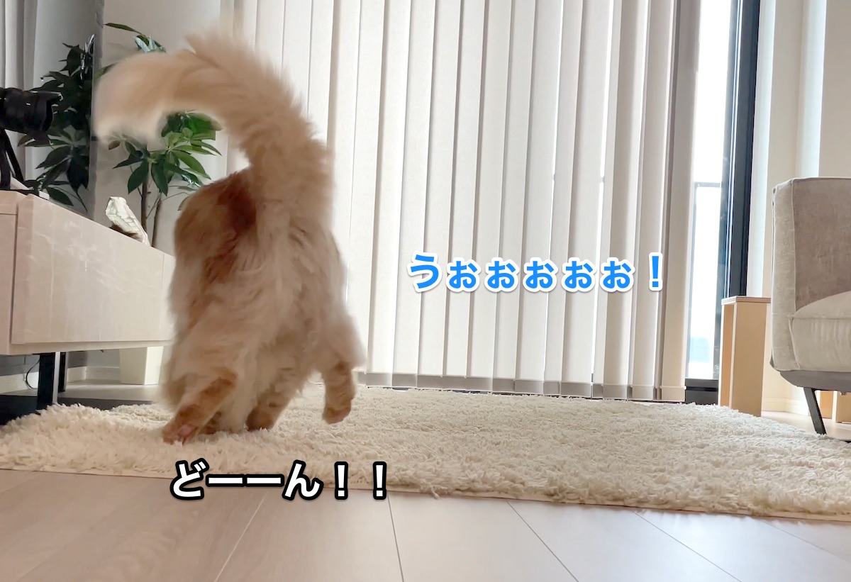 f:id:chikojirou:20210710220954j:plain