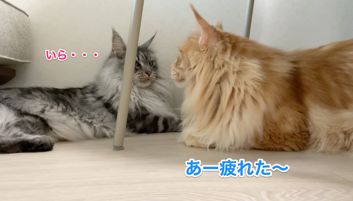 f:id:chikojirou:20210710221003j:plain