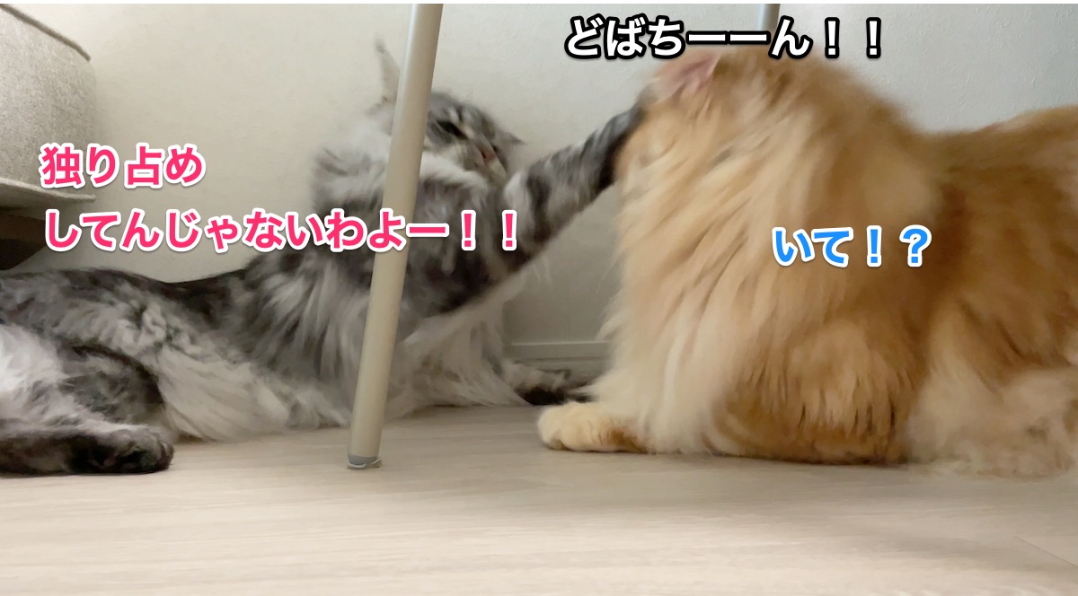 f:id:chikojirou:20210710221008j:plain
