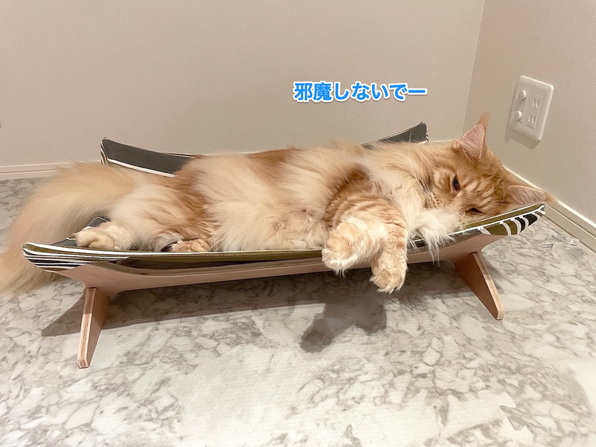 f:id:chikojirou:20210721215309j:plain