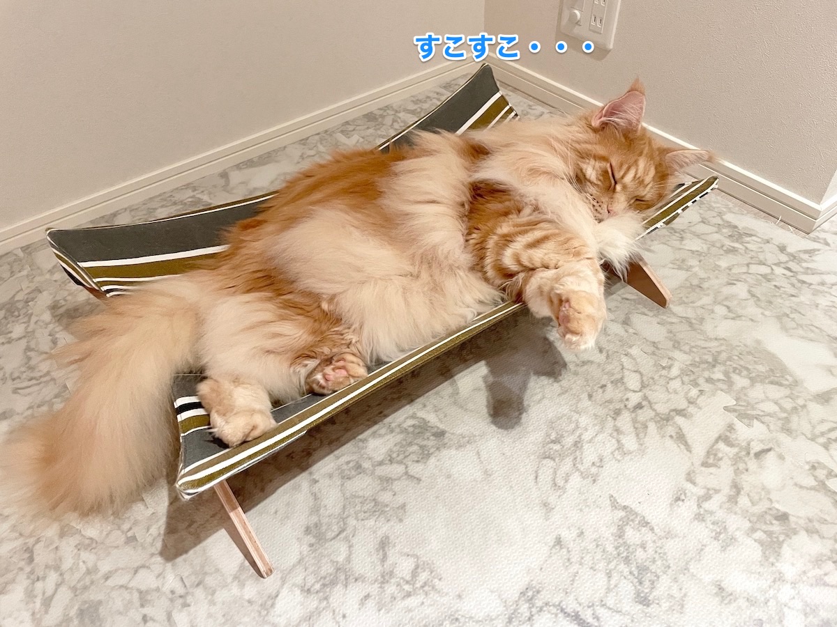 f:id:chikojirou:20210721215313j:plain