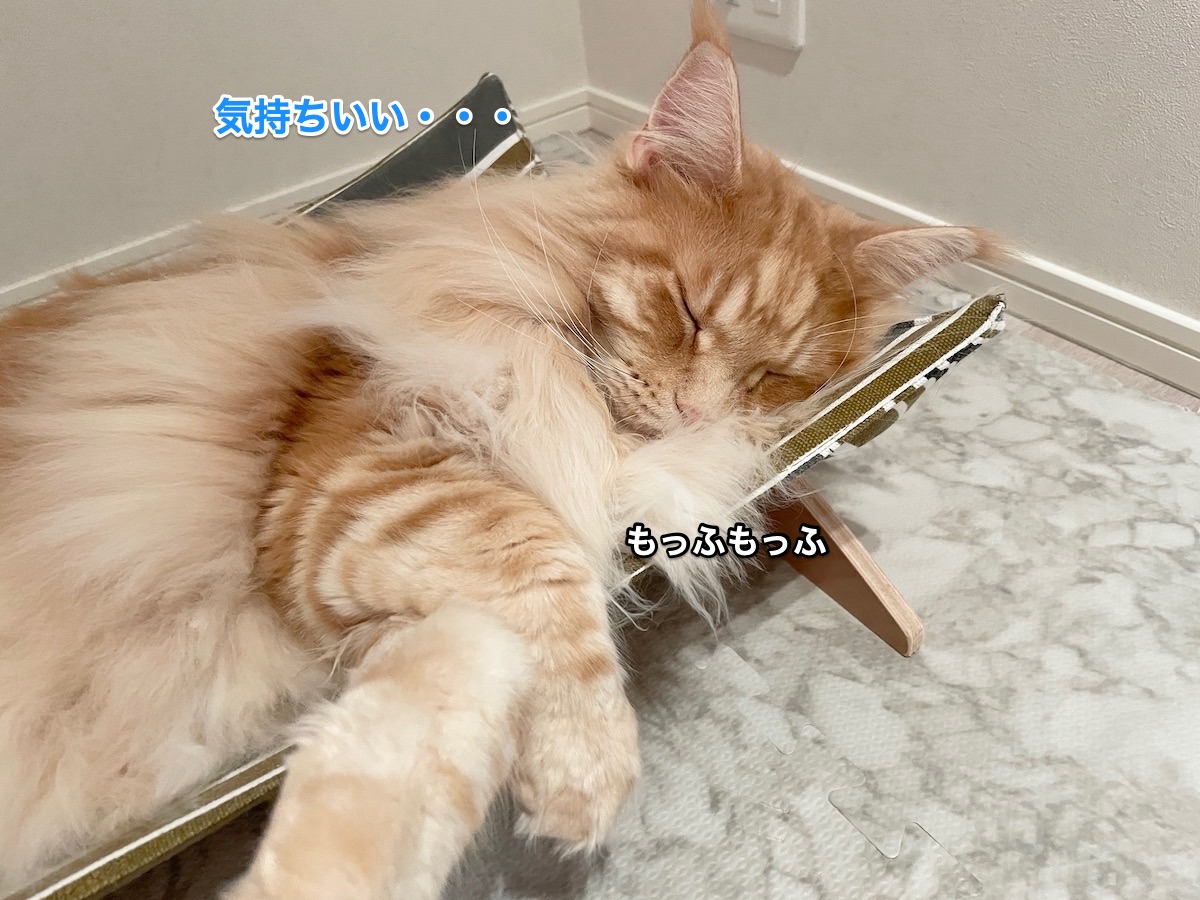 f:id:chikojirou:20210721215318j:plain