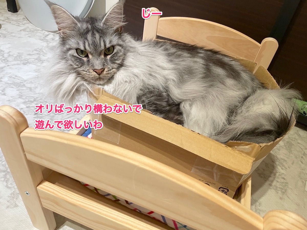 f:id:chikojirou:20210721215321j:plain