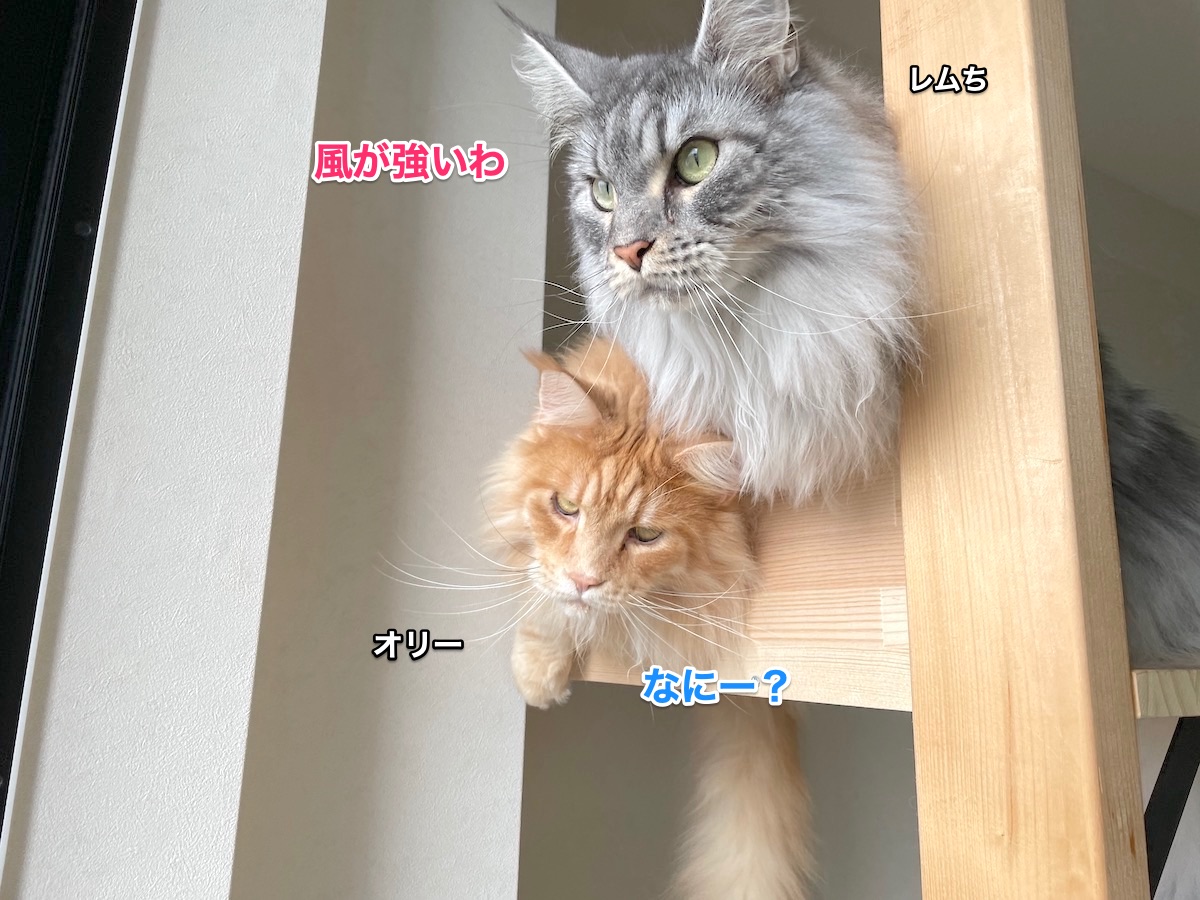 f:id:chikojirou:20210727204838j:plain