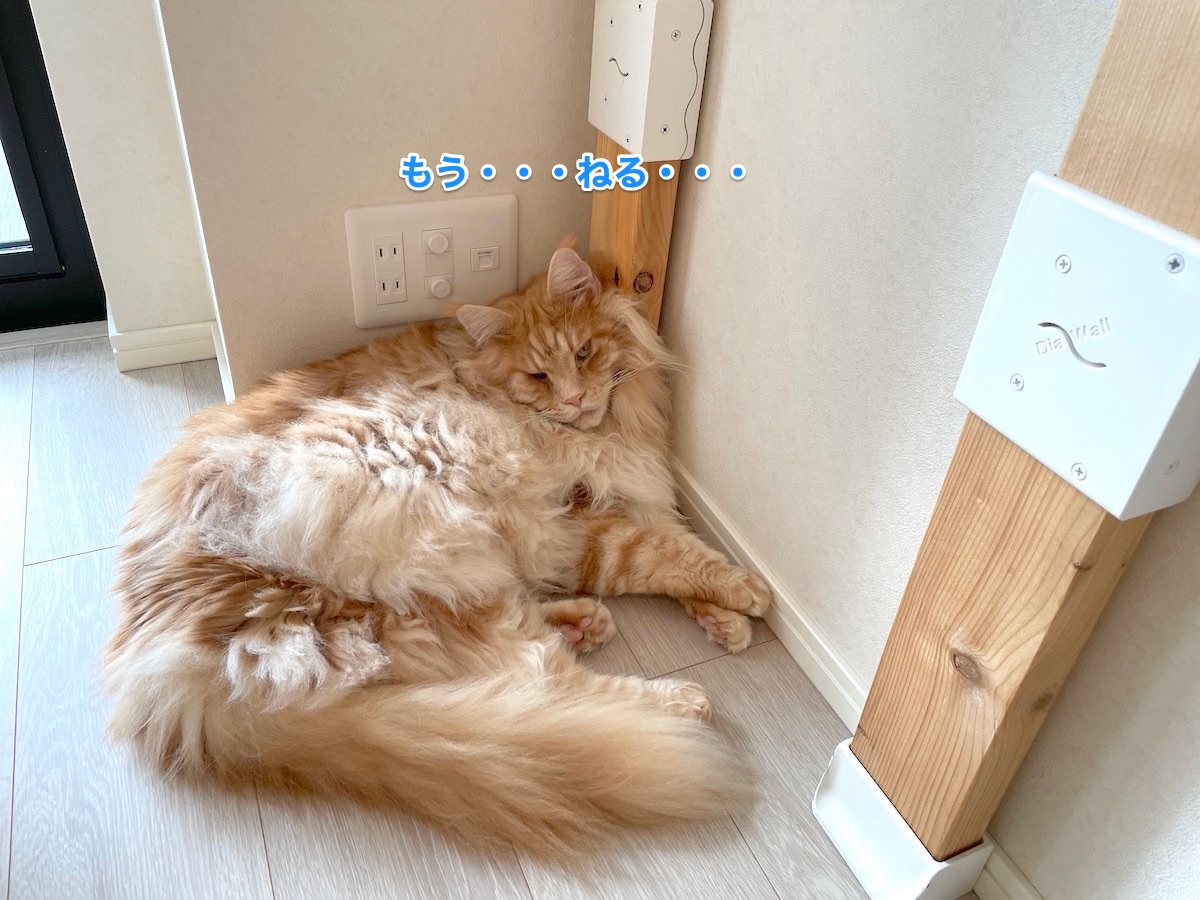 f:id:chikojirou:20210727204848j:plain