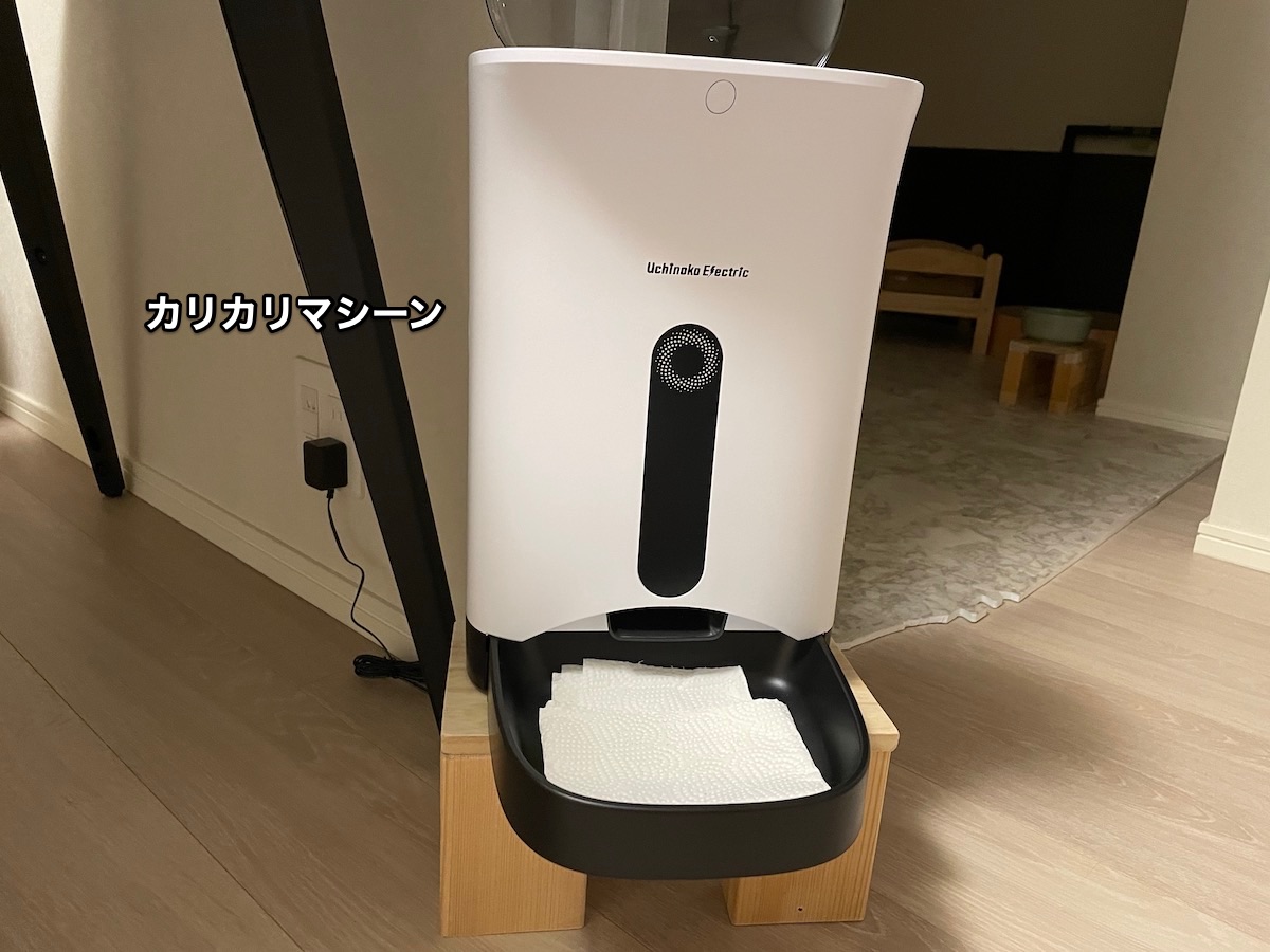 f:id:chikojirou:20210728215539j:plain