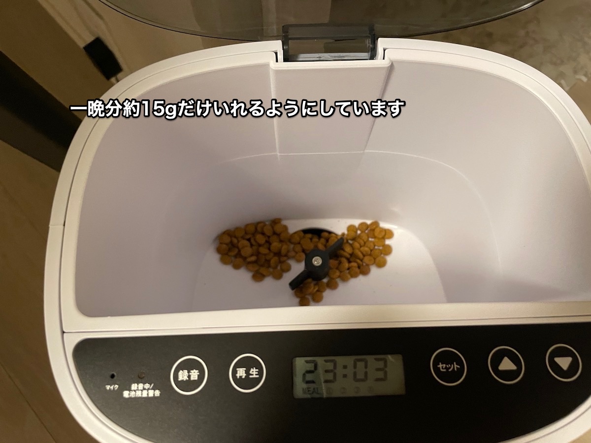 f:id:chikojirou:20210728215543j:plain