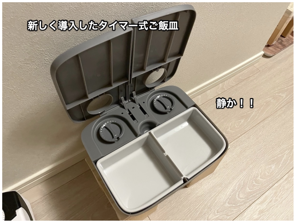 f:id:chikojirou:20210728221431p:plain
