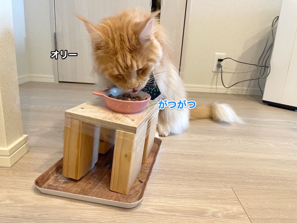 f:id:chikojirou:20210729220113j:plain