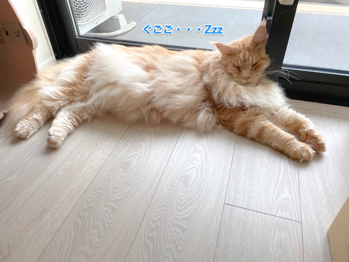 f:id:chikojirou:20210729220121j:plain