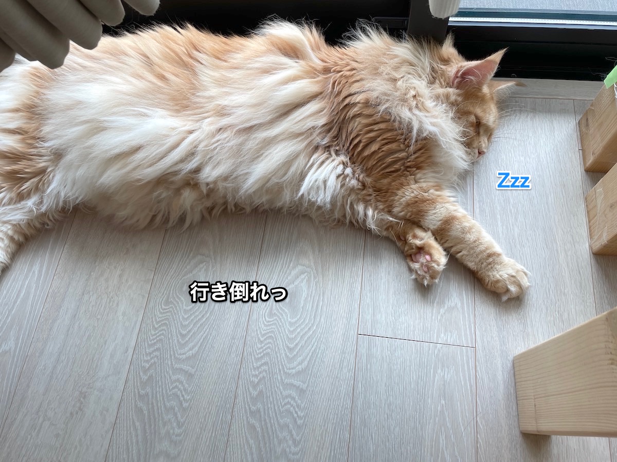 f:id:chikojirou:20210729220124j:plain