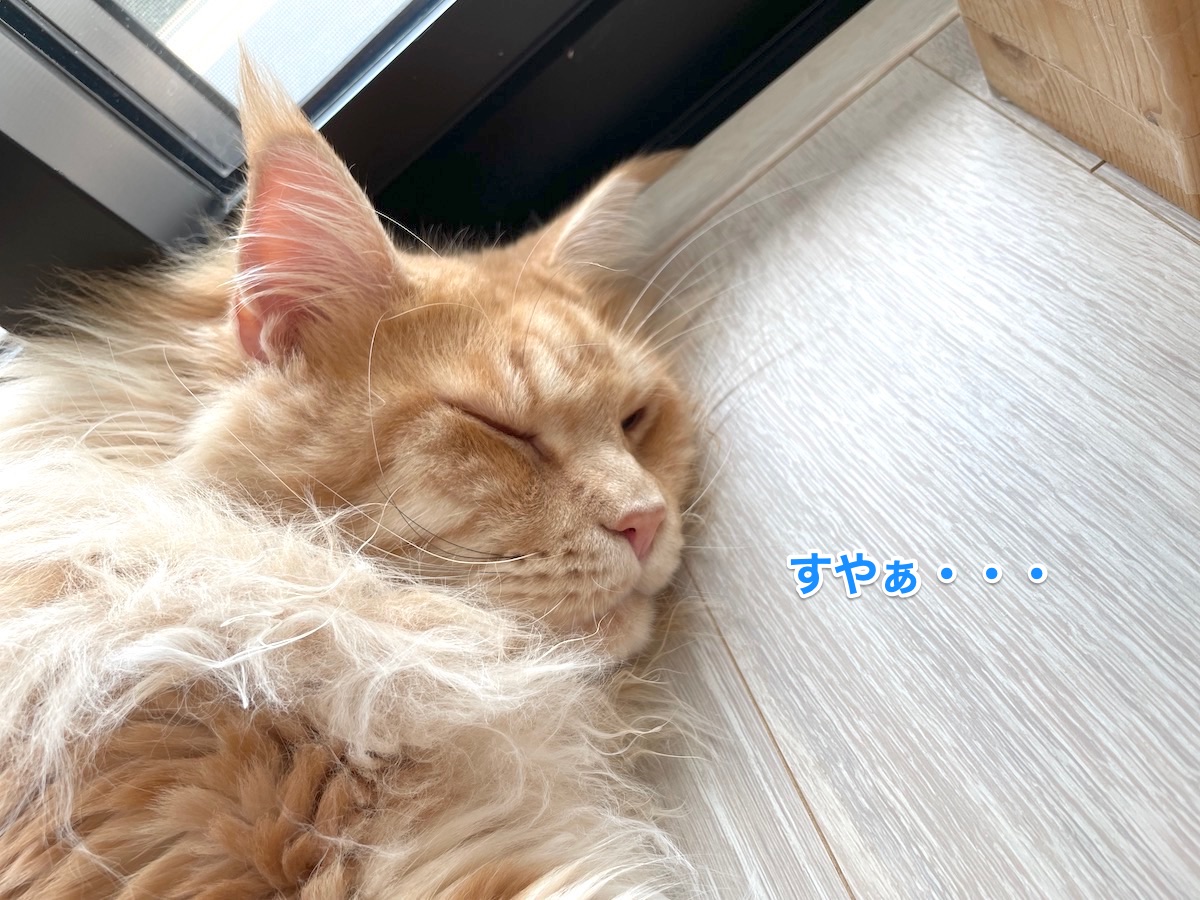 f:id:chikojirou:20210729220130j:plain