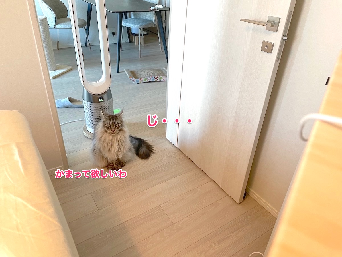 f:id:chikojirou:20210729220133j:plain
