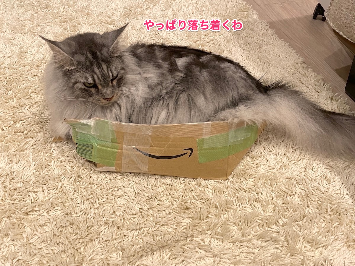 f:id:chikojirou:20210731222212j:plain
