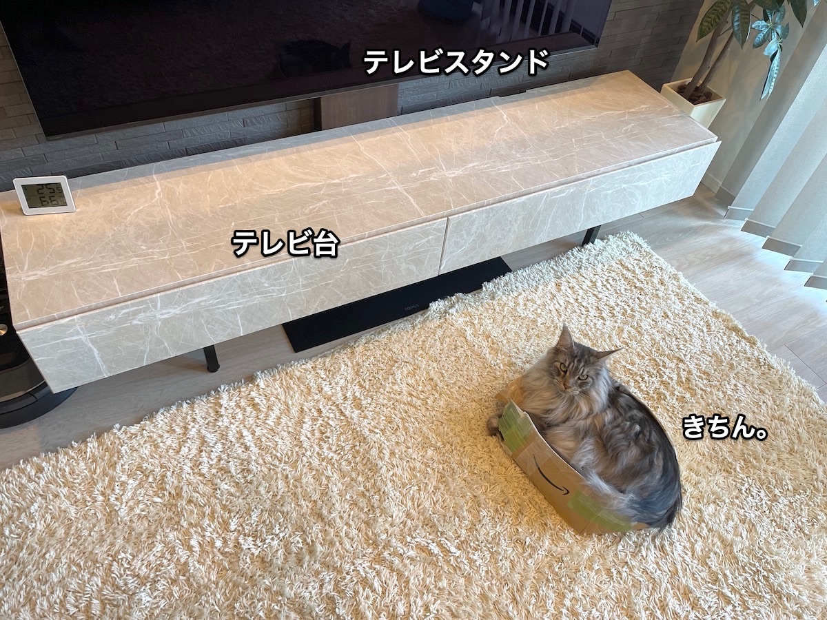 f:id:chikojirou:20210731222228j:plain