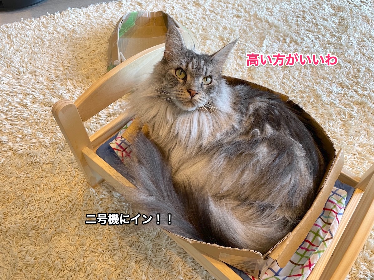 f:id:chikojirou:20210731222244j:plain
