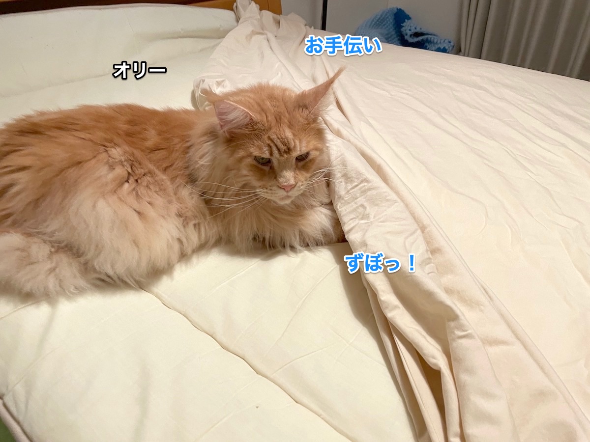 f:id:chikojirou:20210802212638j:plain