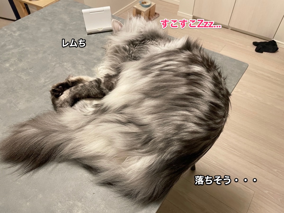 f:id:chikojirou:20210802212653j:plain