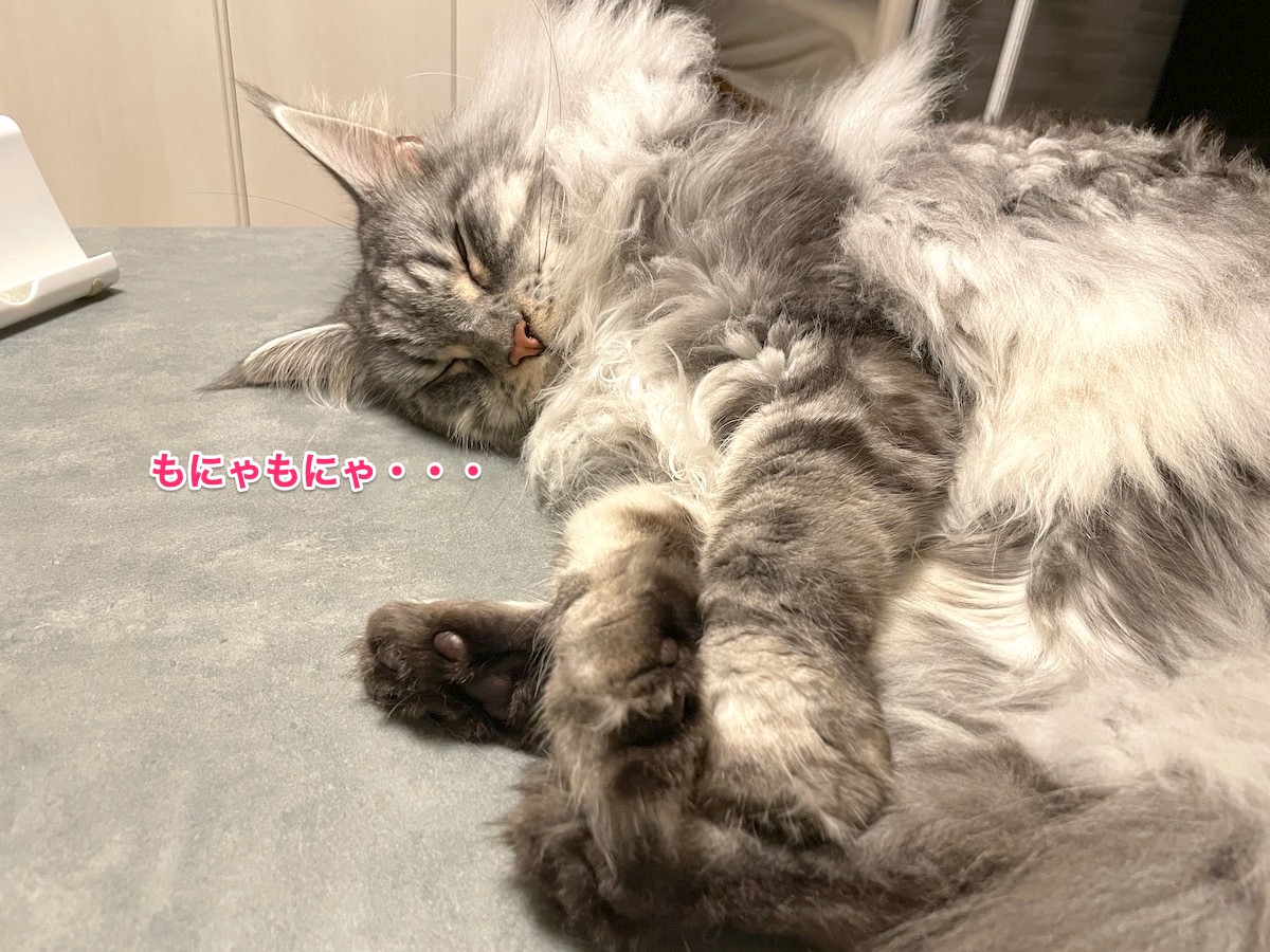f:id:chikojirou:20210802212656j:plain