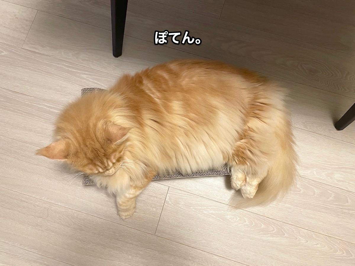 f:id:chikojirou:20210802212700j:plain