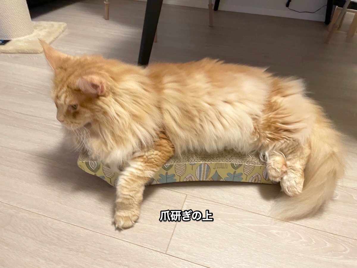 f:id:chikojirou:20210802212704j:plain