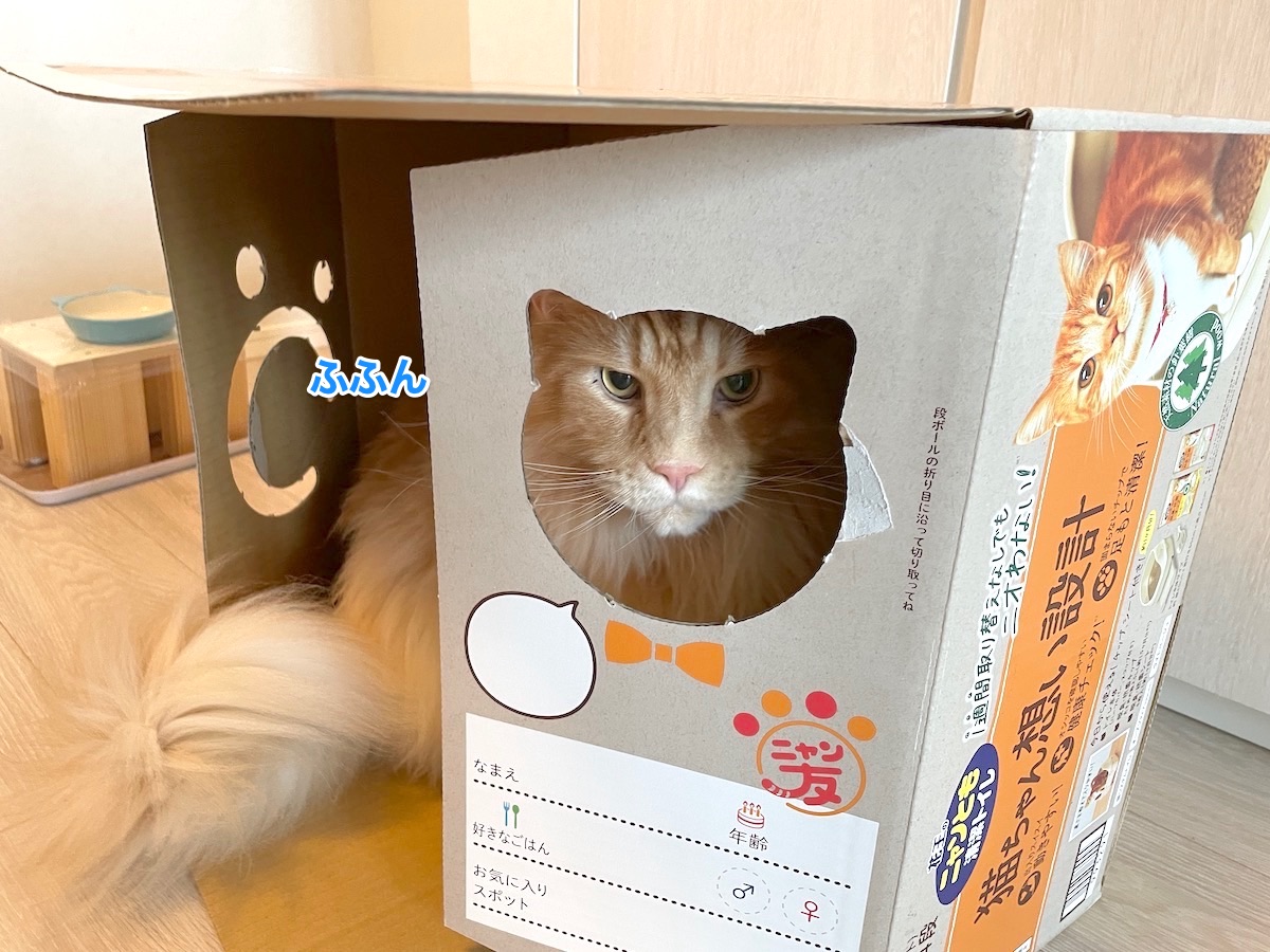 f:id:chikojirou:20210811205219j:plain