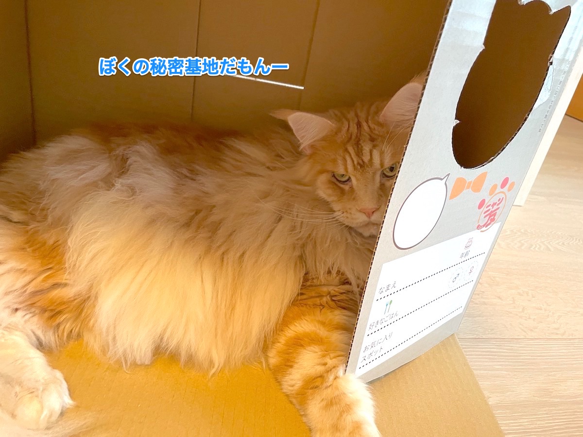 f:id:chikojirou:20210811205234j:plain