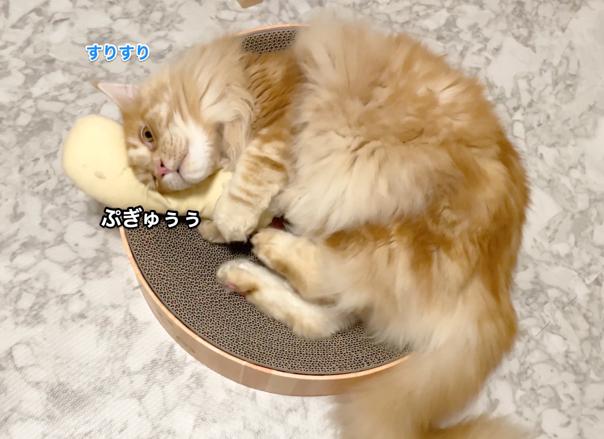 f:id:chikojirou:20210811205237j:plain