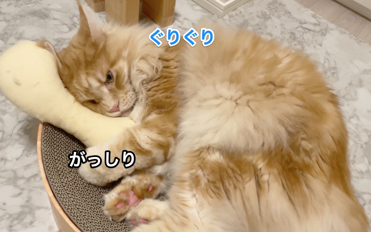 f:id:chikojirou:20210811205244j:plain