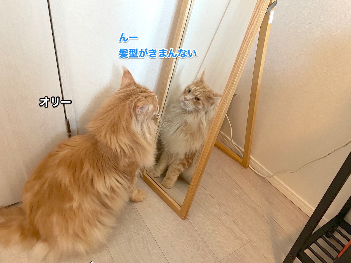 f:id:chikojirou:20210817215249j:plain
