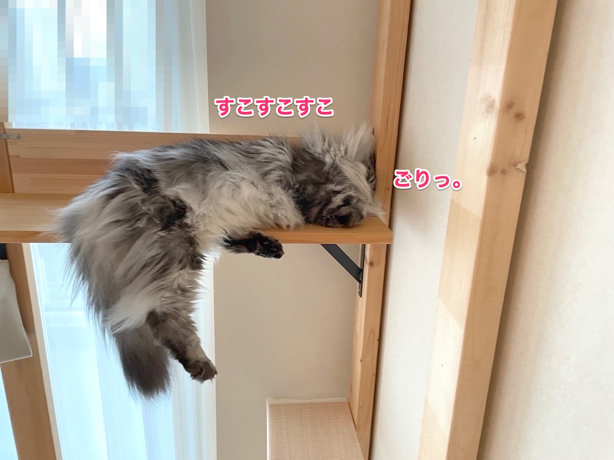 f:id:chikojirou:20210817215303j:plain