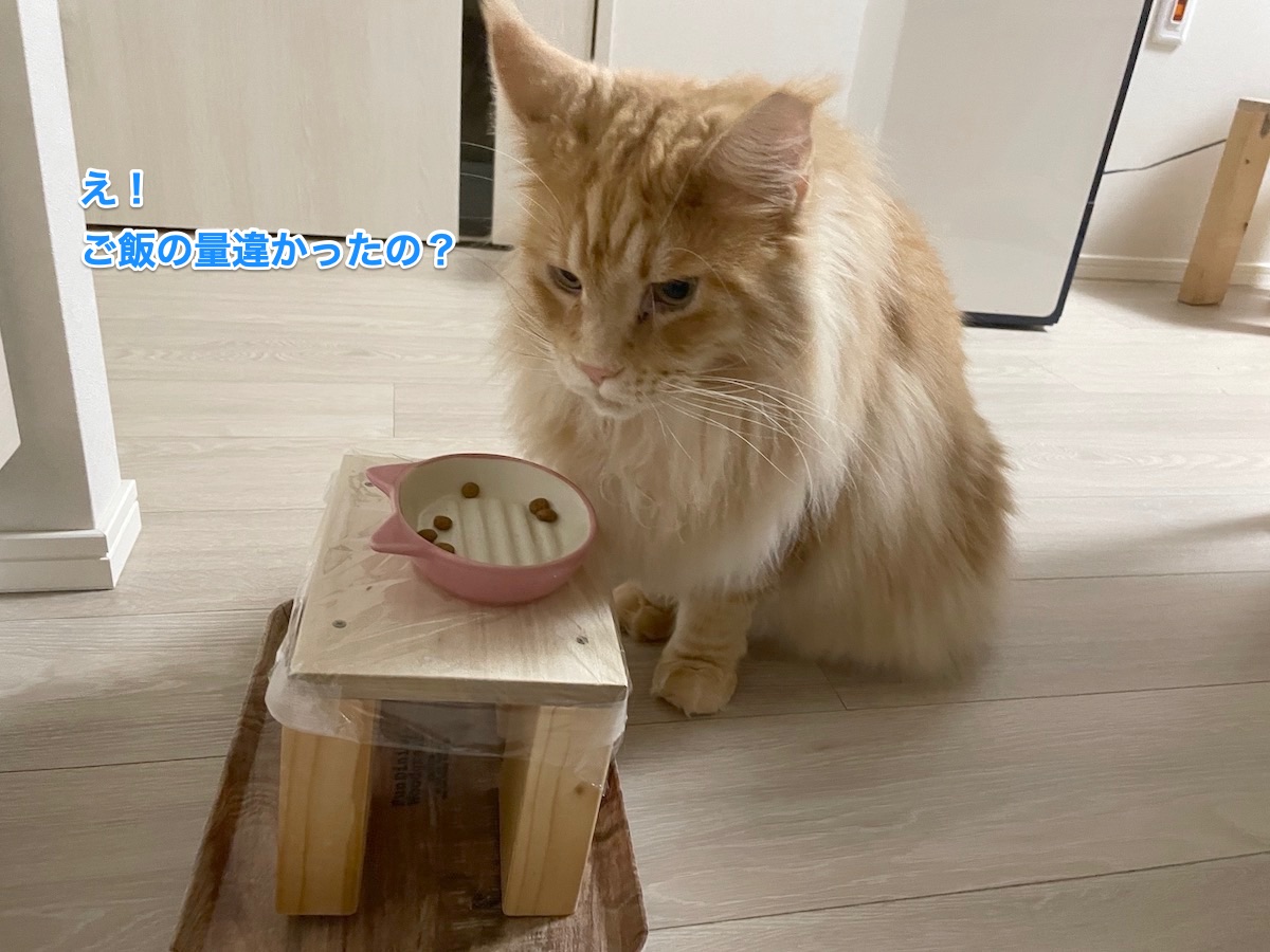 f:id:chikojirou:20210818214733j:plain