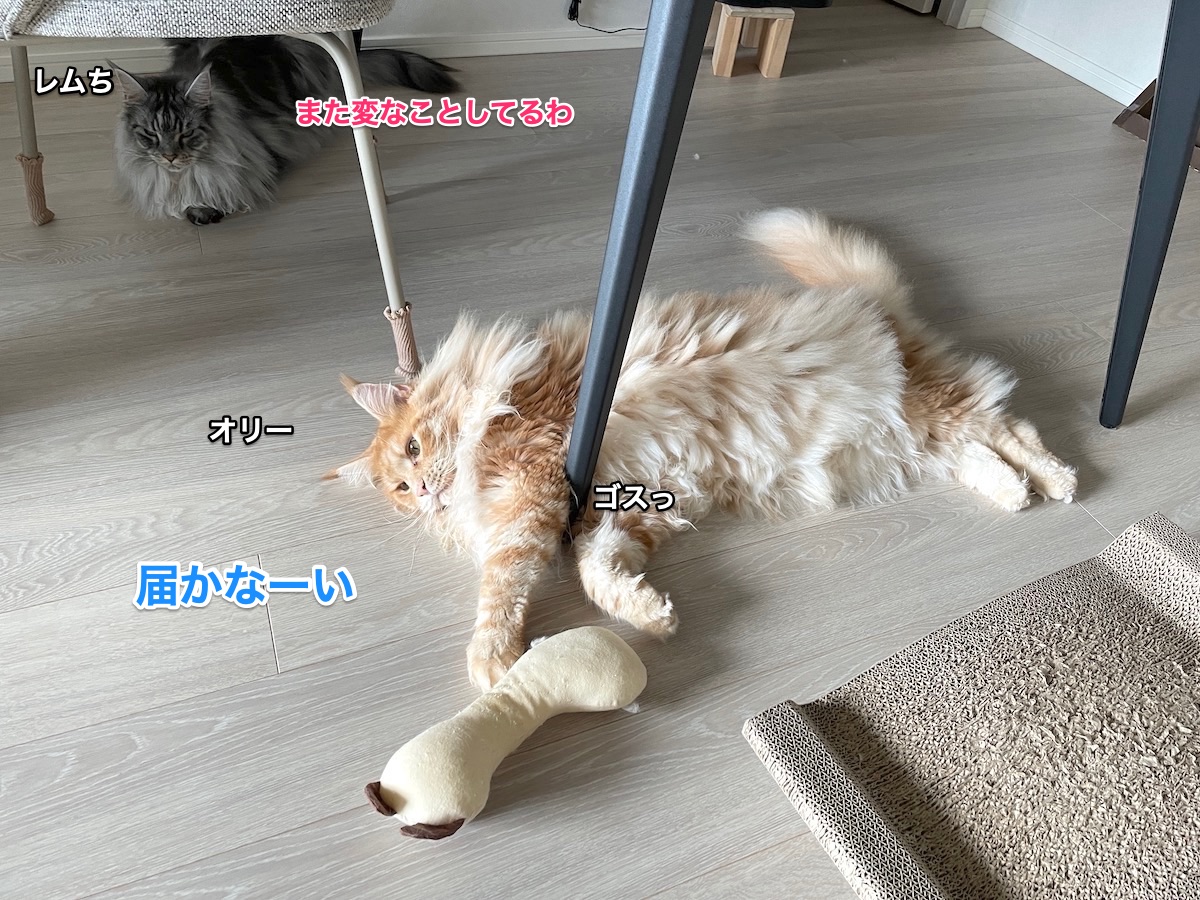 f:id:chikojirou:20210823214718j:plain