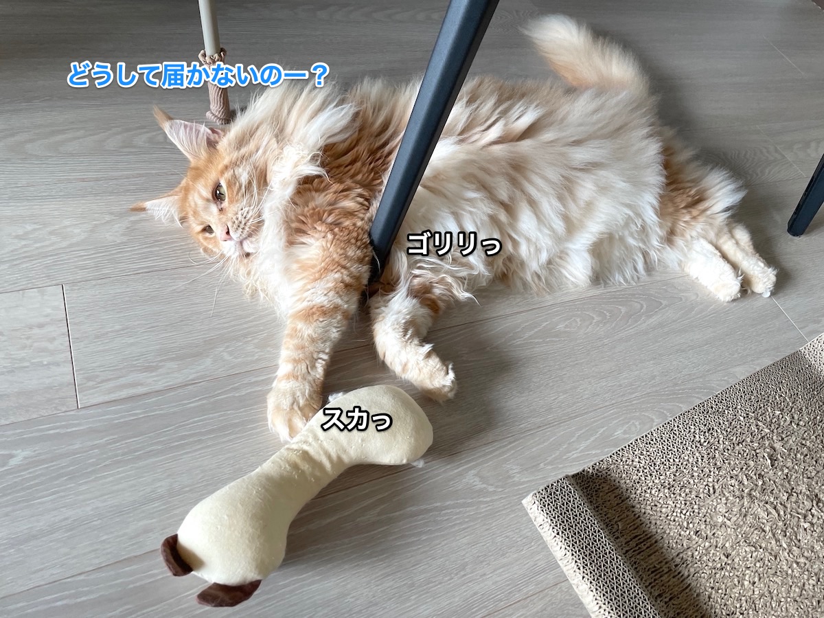 f:id:chikojirou:20210823214726j:plain