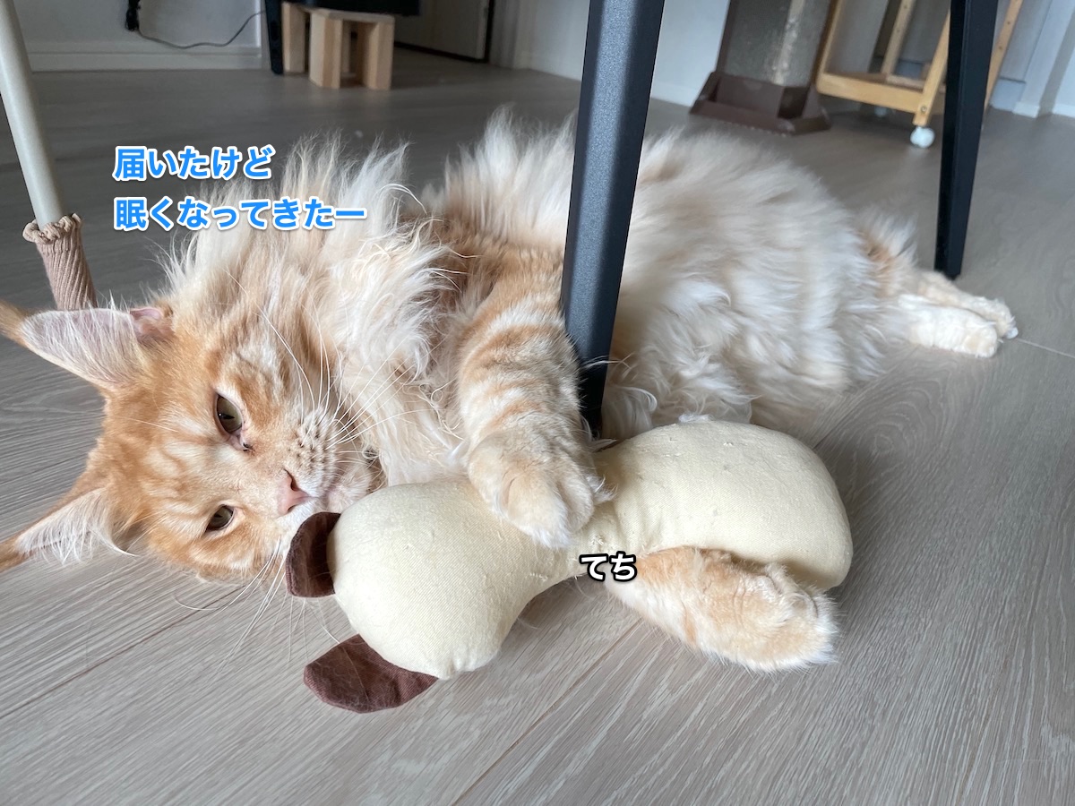 f:id:chikojirou:20210823214730j:plain