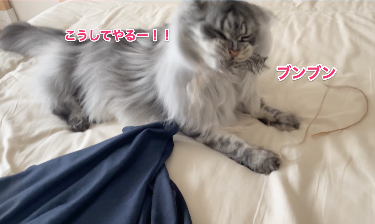 f:id:chikojirou:20210823214737j:plain