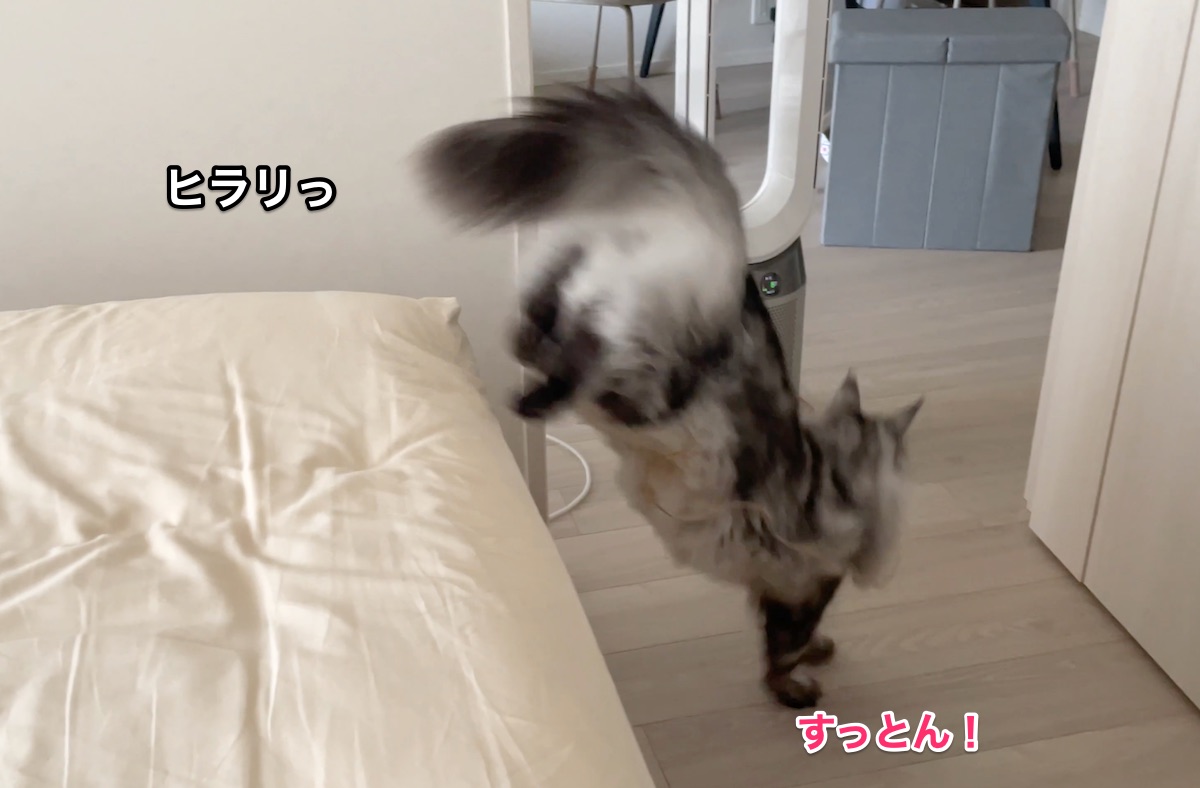 f:id:chikojirou:20210823214746j:plain