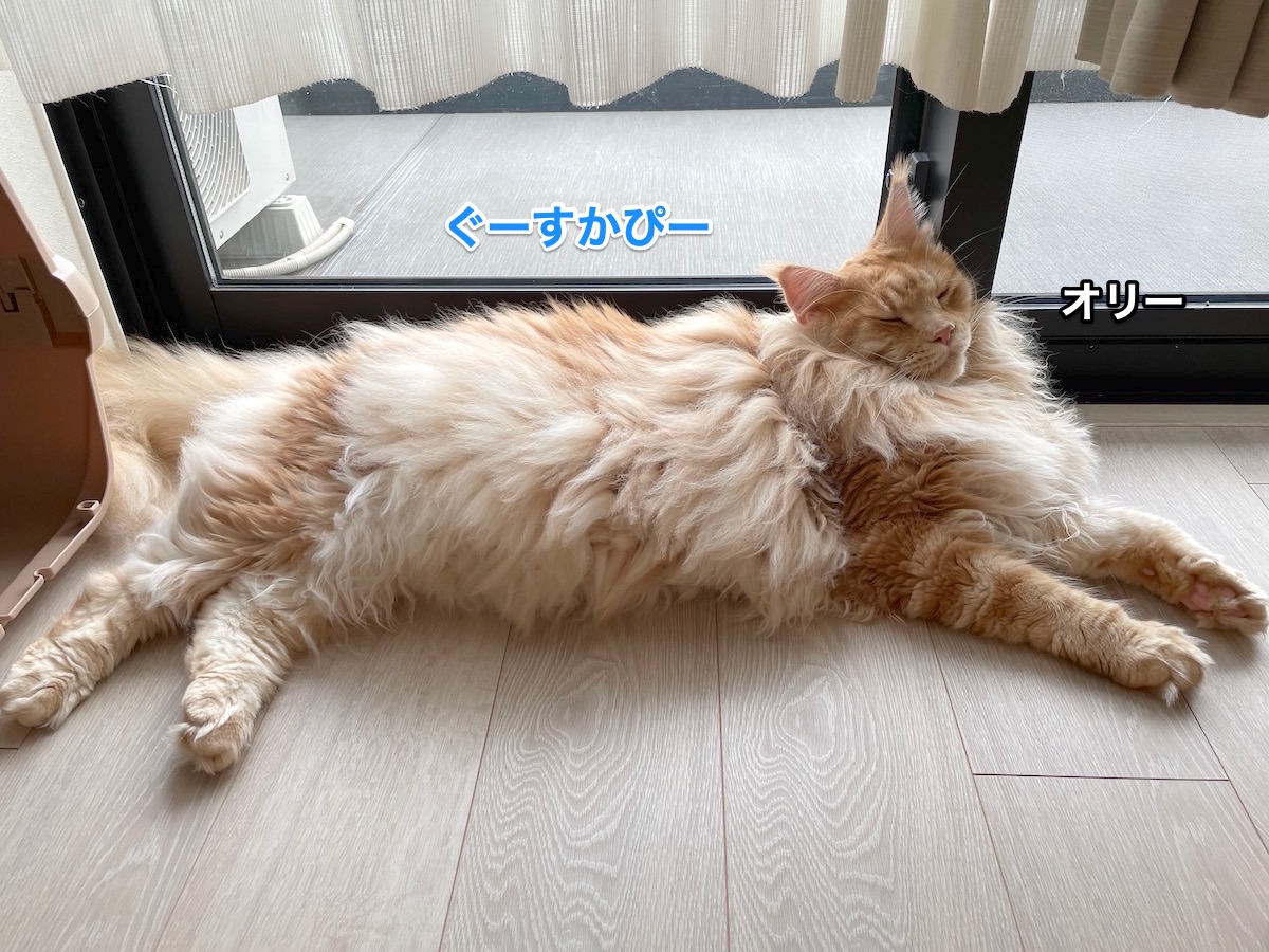 f:id:chikojirou:20210824214624j:plain