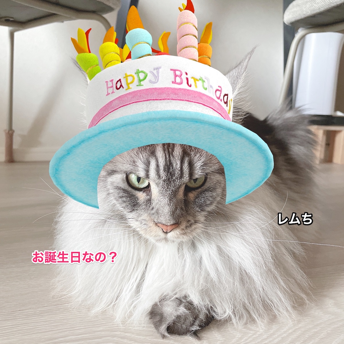 f:id:chikojirou:20210825212534j:plain