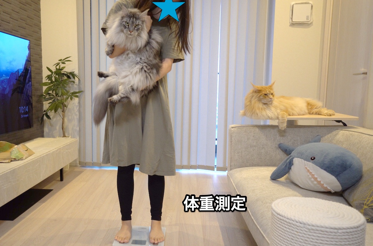 f:id:chikojirou:20210825212558j:plain
