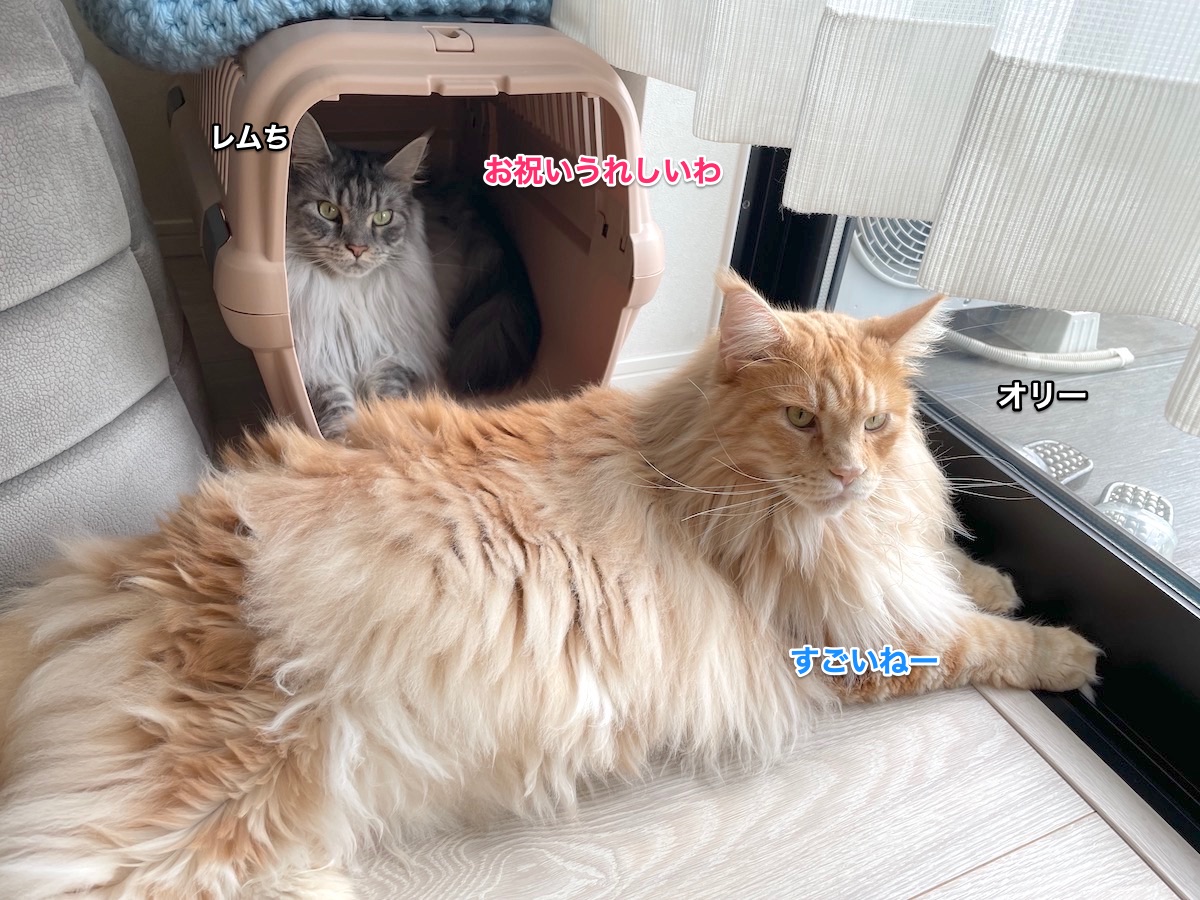 f:id:chikojirou:20210826210813j:plain
