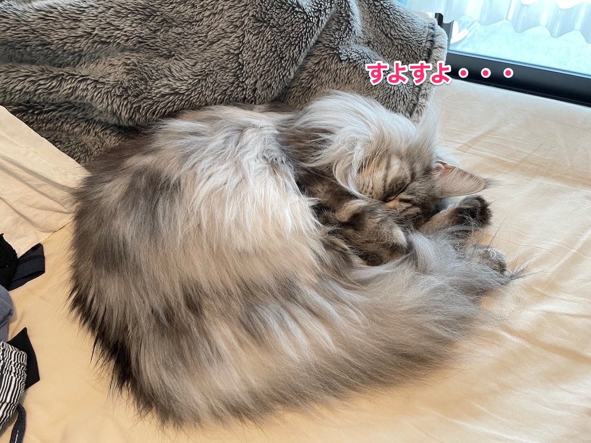 f:id:chikojirou:20210826210820j:plain