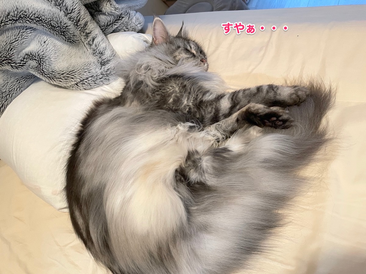 f:id:chikojirou:20210826210827j:plain