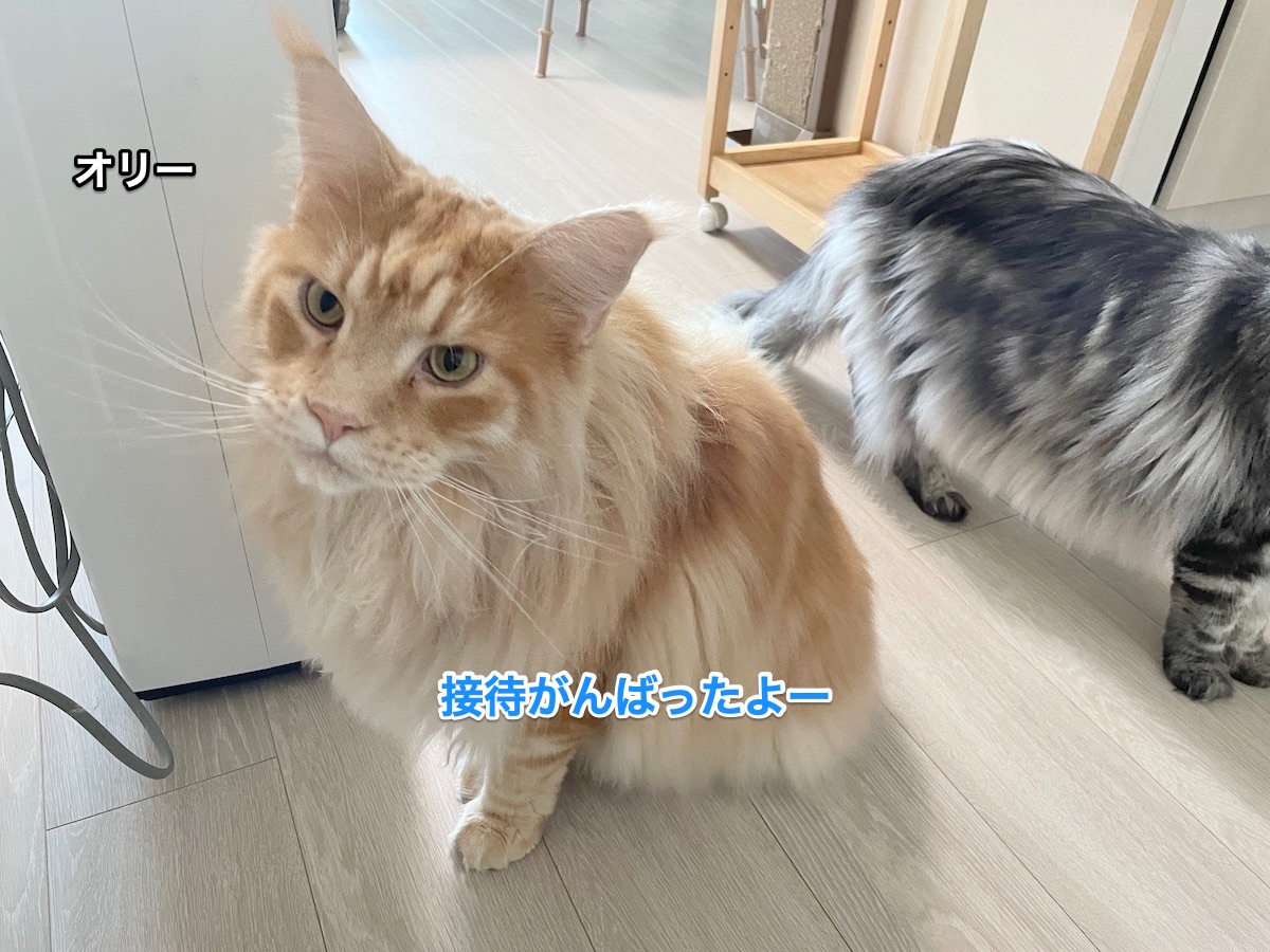 f:id:chikojirou:20210827220113j:plain