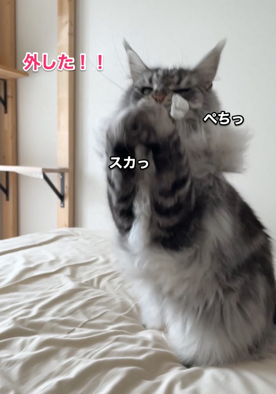 f:id:chikojirou:20210827220128j:plain