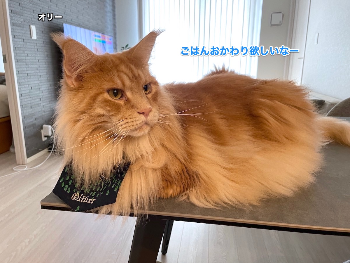 f:id:chikojirou:20210828210702j:plain